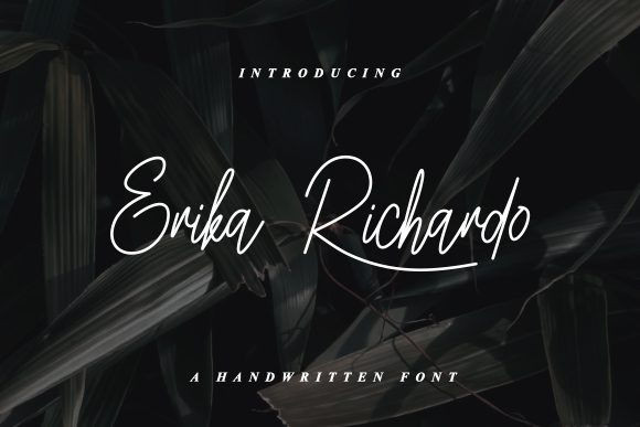 Erika Richardo: A Font for Impactful Campaigns