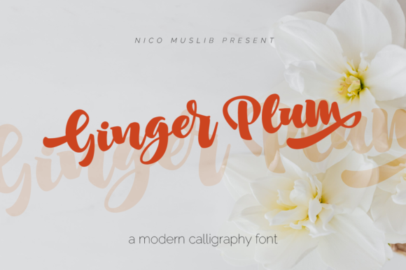 Ginger Plum Font: Handwritten Elegance