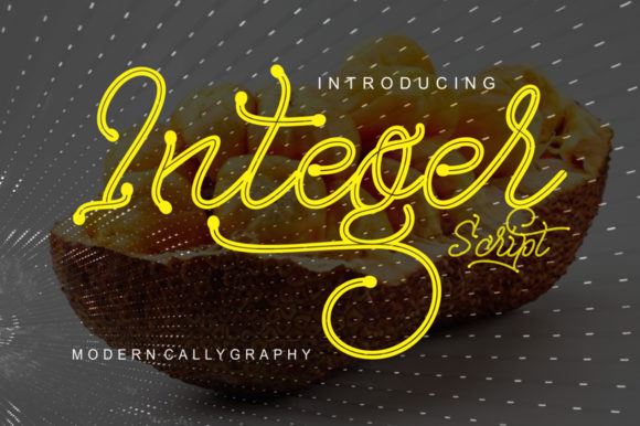 Integer: A Modern Script Font