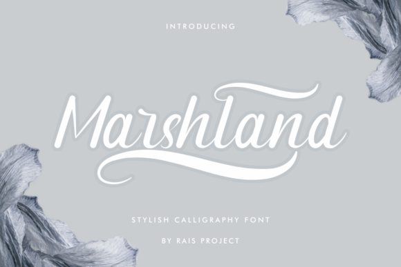 Marshland: A Beautiful Font for Your Brand