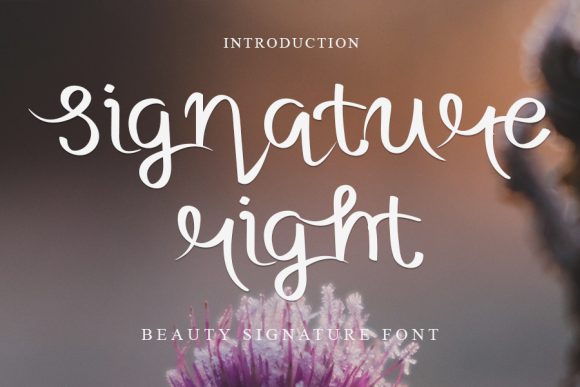 Signature Right: A Luxurious Handwritten Font