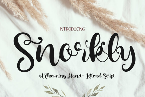Snorkly: A Whimsical Script Font